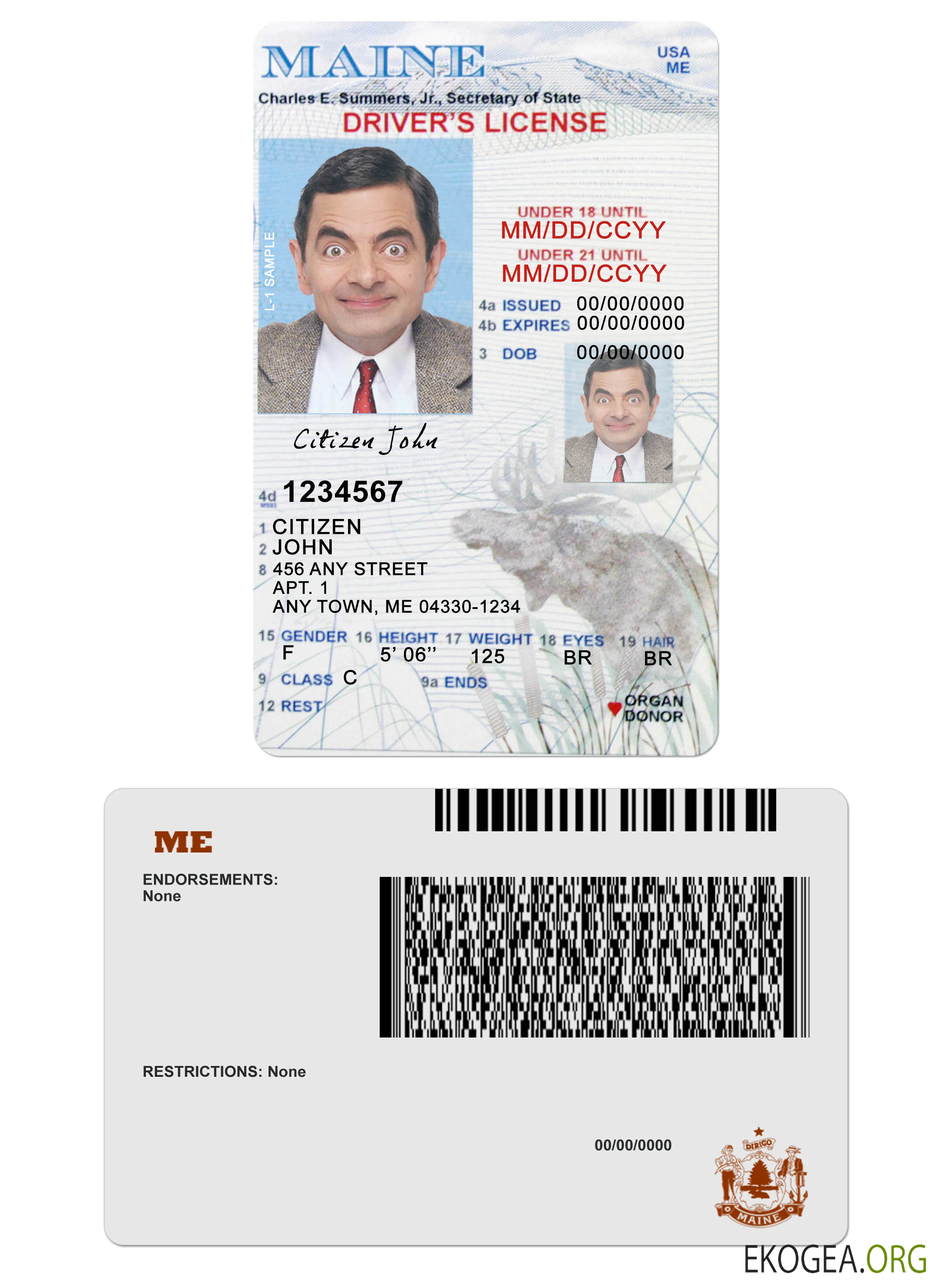 USA Maine driving license under 21